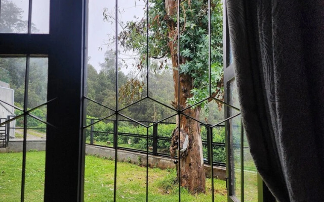 Songs of the Nilgiris