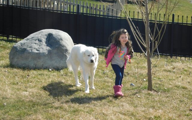 Evonne's Sharing House