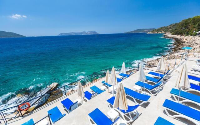 Sardunya Andifli Otel