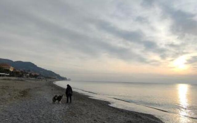 Flat 2 bedrooms 1 bathroom - Finale Ligure