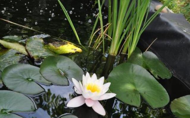 Maison Eureka Chantilly Gouvieux