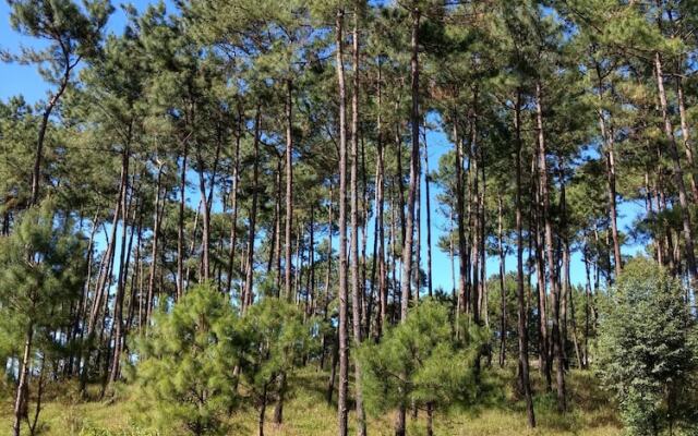 V Resorts Sha Ri Loum Homestay Shillong