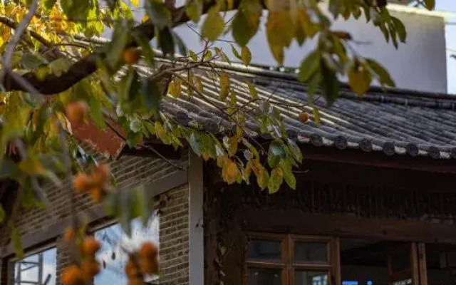 Yunbo · Yinshi Mountain Courtyard (Shuhe Ancient Town Store)