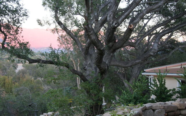 Ojai Retreat & Inn