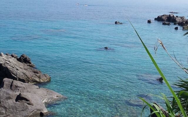 The beauty of nature