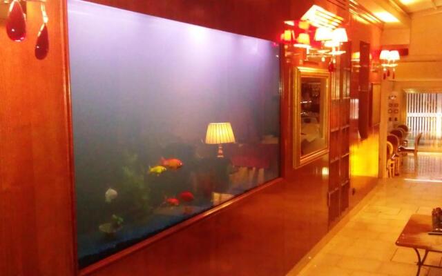 Hotel Alcyone