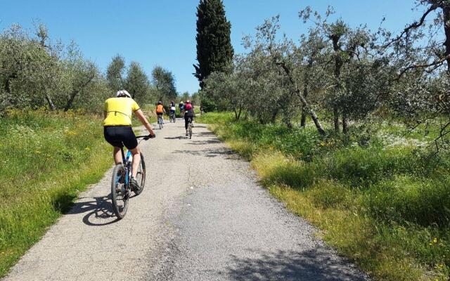 Luxury Villa 30 Minutes Driving From Florence-villa Rinaldi