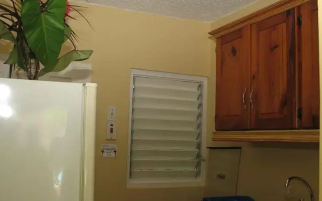 Chrisanns Beach Resort Apt 21