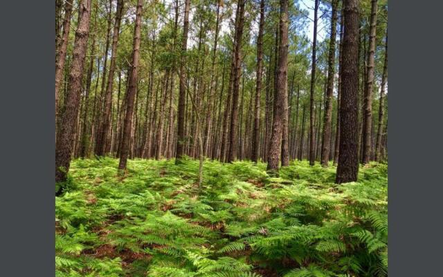 Appartement Résidence Saint Jours - Centre ville