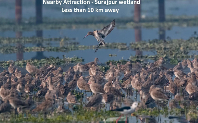 Hotel Green View by OYO Rooms