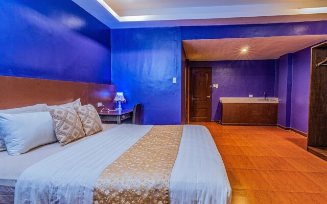 Hotel Palacio