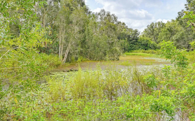 Lutz Home ~ 14 Mi to Downtown Tampa