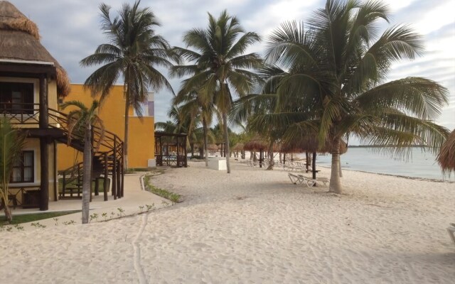 Pavo Real Tulum