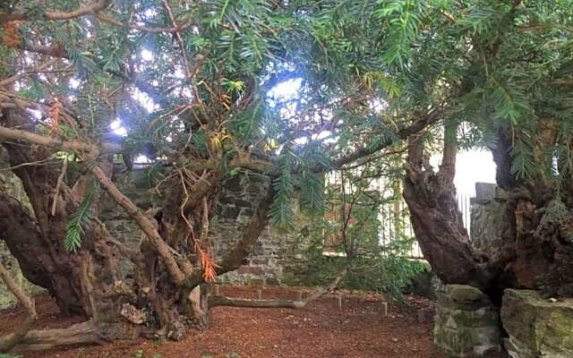 Cosy Rowan woodland lodge no3