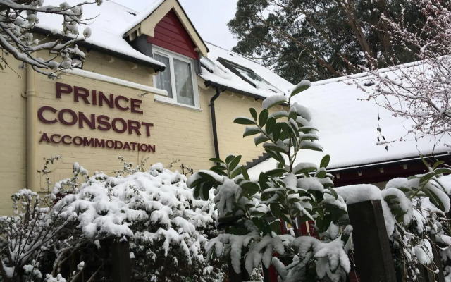 The Prince Consort