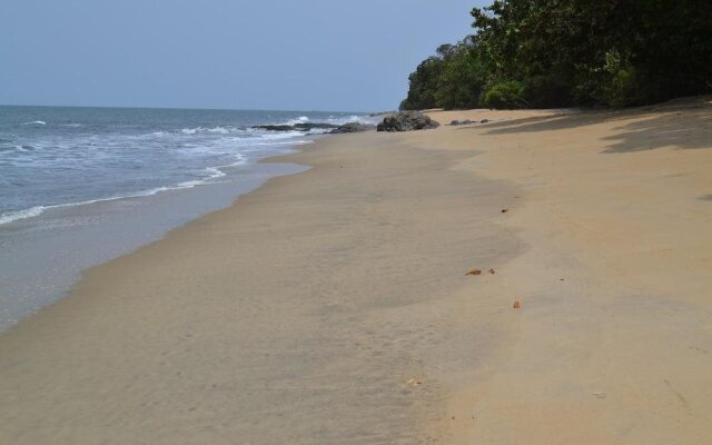Hotel Tara Plage