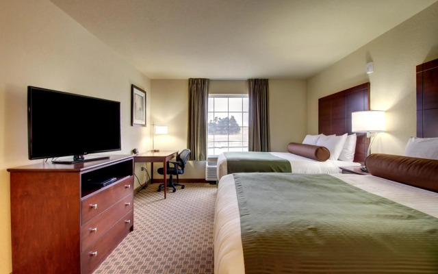 Cobblestone Inn & Suites - Steele