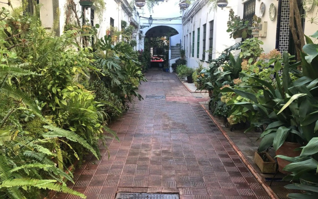Charming House in Triana,best City View from Patio