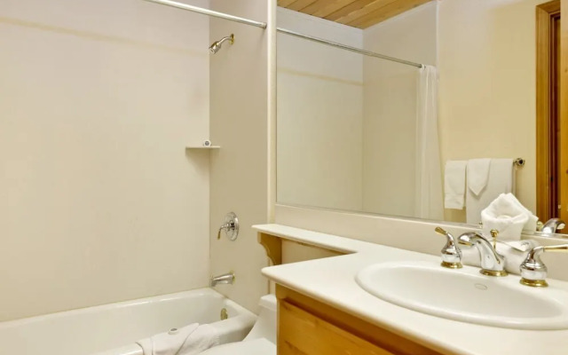 Starlight Vistas #1524