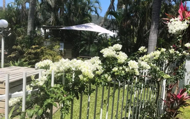 Best Western Mango House Resort