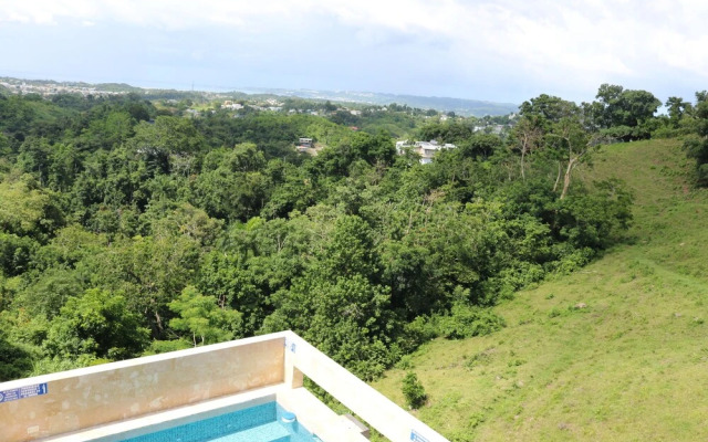 Apartments Pepe's View - A