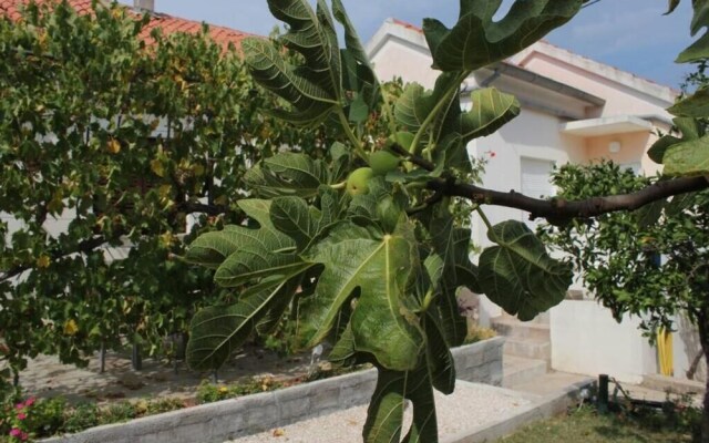 Sea View Apartment Orhideja, Sleeps 4