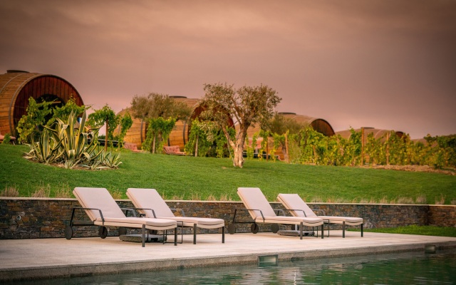 The Wine House Hotel - Quinta da Pacheca