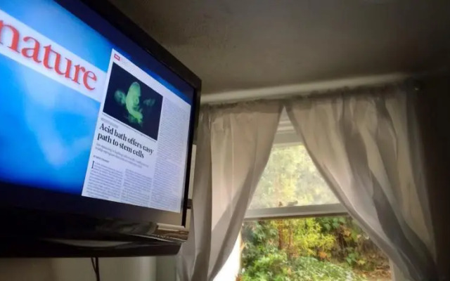 Claremont Court House