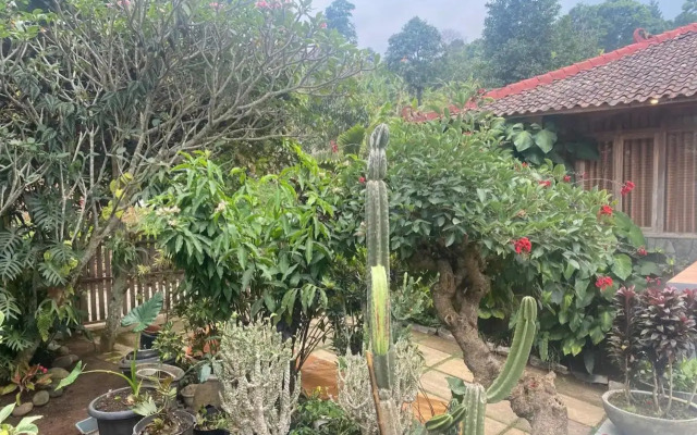 The Joglo Villa
