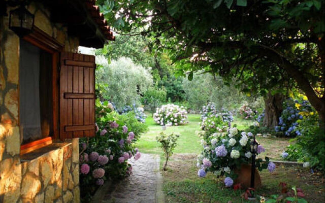 Alekas Studios