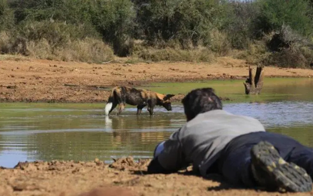 Laikipia Wilderness Camp