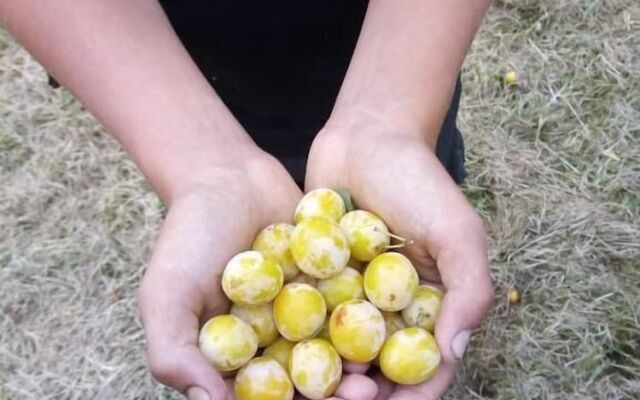 Gite Slow life house