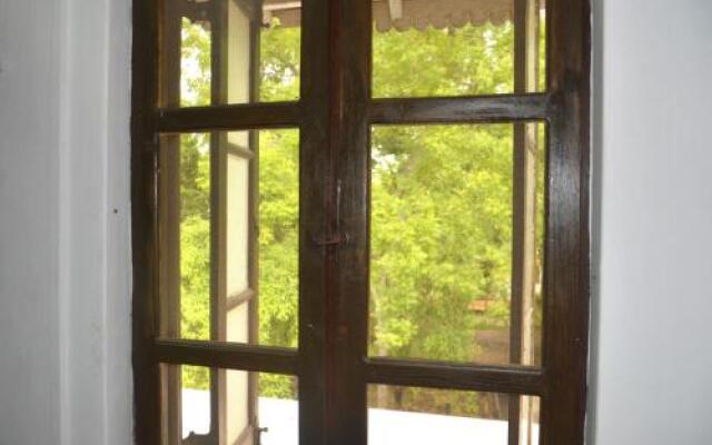 Fig and Gecko Hostel