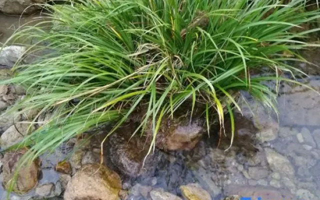 Xiangjian Xiaoqi Hostel