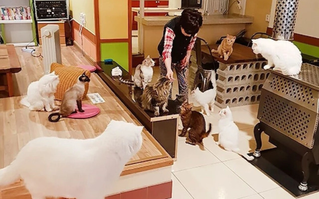 Gyeongju Pyeonggwanhun Guest House