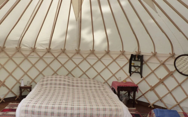 Ceridwen Glamping, Double decker Bus and Yurts