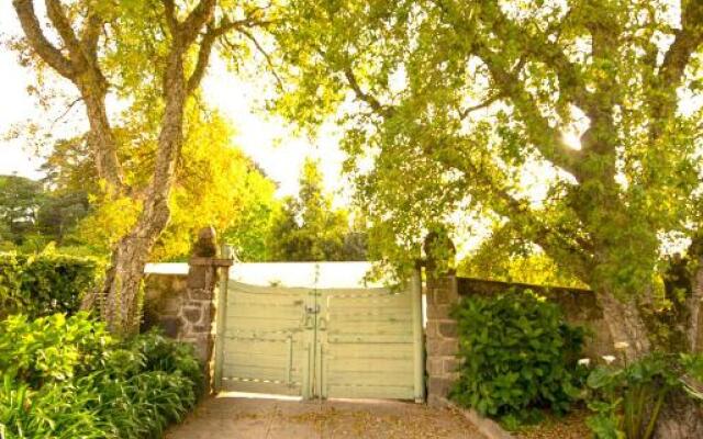 A House in The Woods