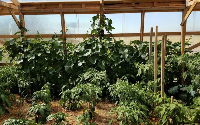 Sleep For Less Motel