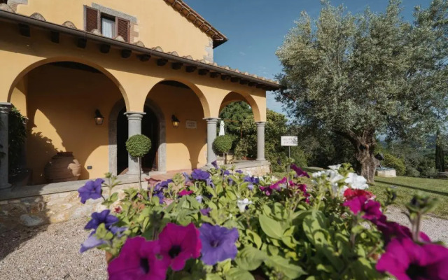 Terenzi Hospitality & Wine