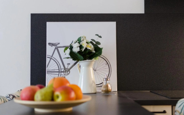 Oltec Apartment Brno