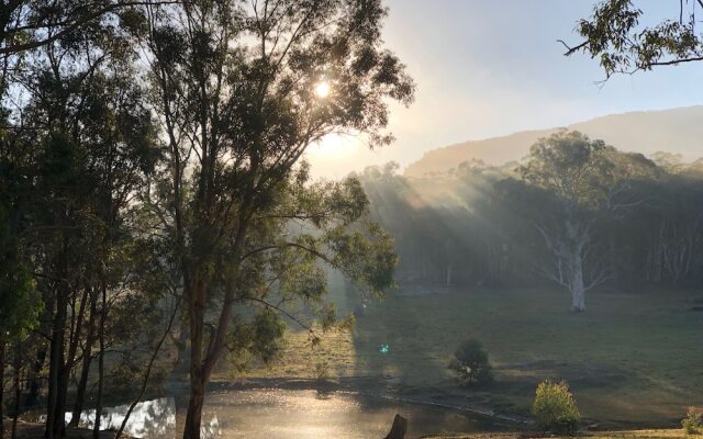 Wild In Style for Glamping