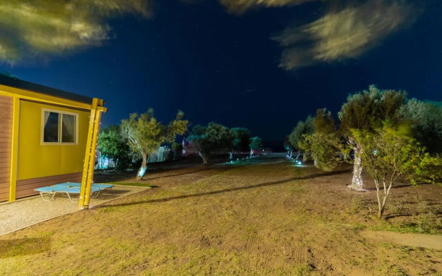 Olive Grove Villa by the Beach