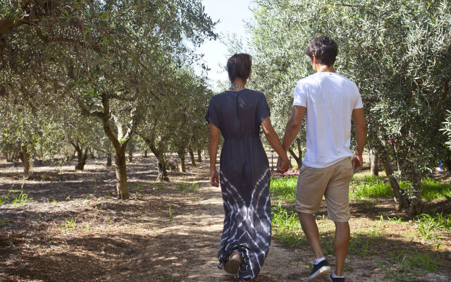 Sa Vinya des Convent Agroturismo
