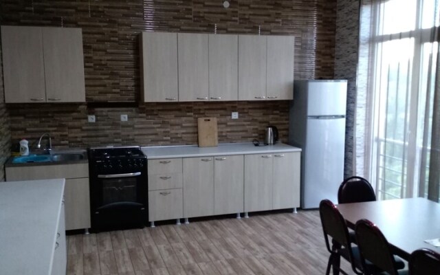 Duplex200