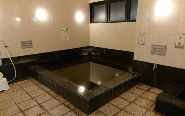 Hotel Castle Plaza Tagajo