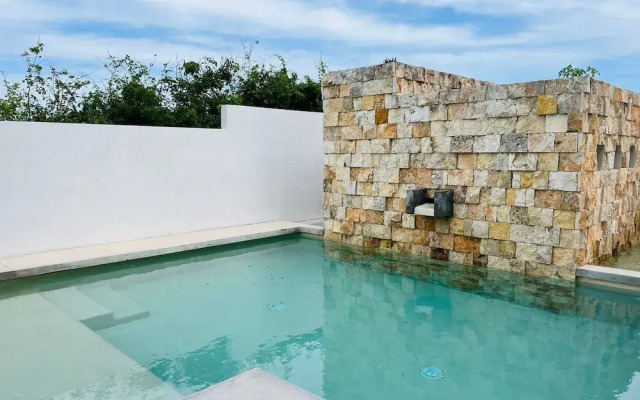La Diosa Condos penthouse w plunge pool