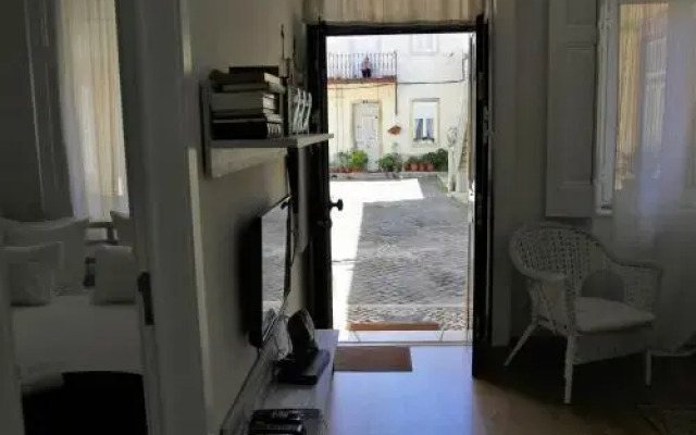 A Back Street Nest