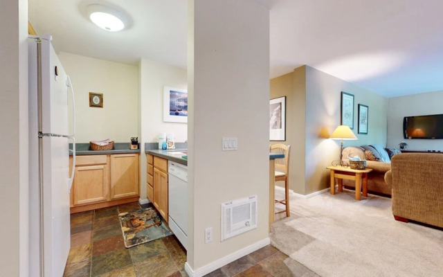 Summit #243 1 Bedroom Condo