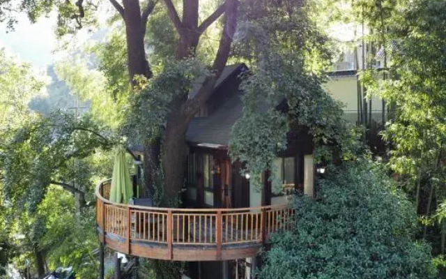 Tree House Guesthouse