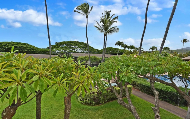 Napili Shores F246 in Lahaina